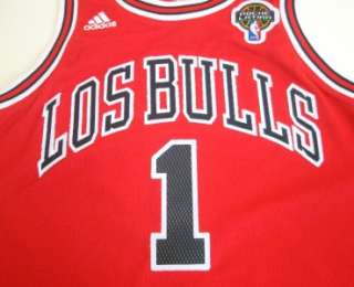   Chicago Bulls Derrick Rose Latin Nights Swingman Stitched Youth Jersey