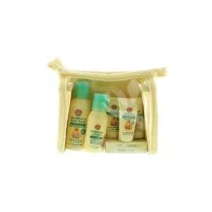 Jason Natural Cosmetics Earths Best Baby Care Kit   Travel Kits (Pack 