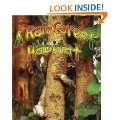 butterfly paperback by ben morgan nature of the rainforest costa