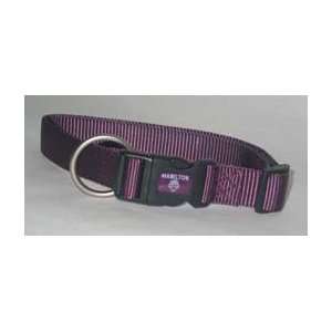  Hamilton Adjustable Dog Collar Purple 3 4 X16 22 Inch   B 