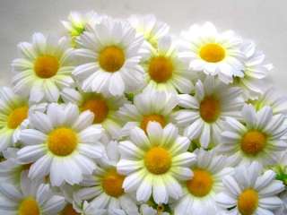 100X White Gerbera Daisy Head Artificial Silk Flower Wedding Lot 