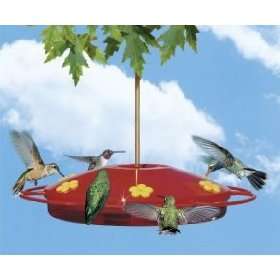 New Perky Pet Hummingbird Oasis 16 oz Bird Feeder  