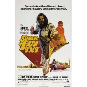 Fly T.N.T. Movie Poster (27 x 40 Inches   69cm x 102cm) (1973)  (Ron O 