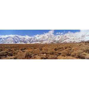 Mountains on a Landscape, Mt Williams, Eastern Sierra, California, USA 