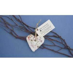   Edible Ornament small Heart Recycled Cotton Fiber Fresh Flowers Seed