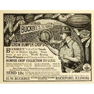 1918 Ad H W Buckbee Seeds Bumper Crop Collection Radish Cabbage Farm 