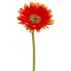  Faux 25 Gerbera Daisy Spray Flame (Pack of 12 
