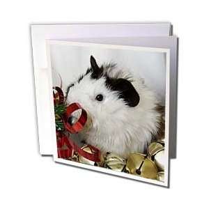  Cassie Peters Guinea Pig   Baby Guinea Pig 2 With Gold 