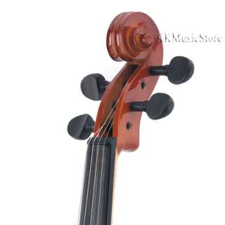 FULL SIZE 4/4 STUDENT VIOLIN+Book+2 Set Strings+Lessons  
