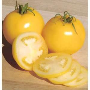  Davids Yellow Non Hybrid Organic Tomato Taxi 30 Seeds per 