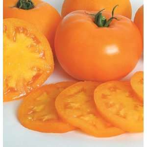  Davids Orange Hybrid Tomato Orange Blossom 30 Seeds per 