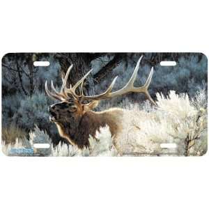 3124 Indian Summer Elk License Plate Car Auto Novelty Front Tag by 
