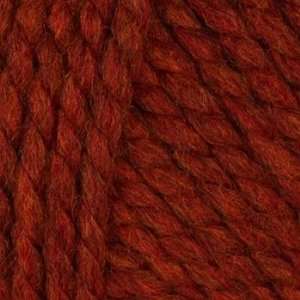  Lion Brand Wool Ease Thick & Quick Yarn (135) Spice By The 