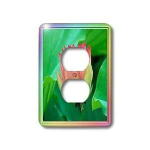 Susan Brown Designs Flower Themes   Lotus Flower   Light Switch Covers 