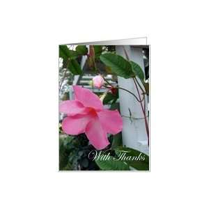  With Thanks Pink Mandevilla Flower Card Health & Personal 