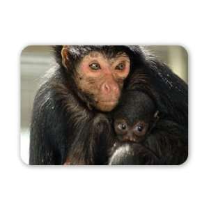  A spider monkey with baby, Twycross Zoo,   Mouse Mat 