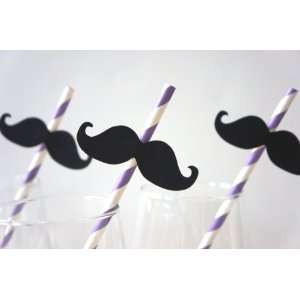 Mustache Straw Photo Props   Set of 5   Mustaches on PURPLE Striped 