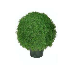  24 Artificial Silk Outdoor Boxwood Ball Topiary With 1947 