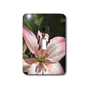 Patricia Sanders Flowers   Lily Floral Art II   Light Switch Covers 