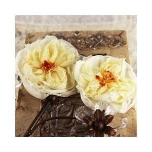  Parfait Sheer Silk Flowers 2/Pkg