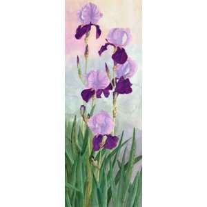Sugar Plum Iris Irises Purple Floral Flower Archival Print on Paper by 