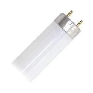   GOLD 18W T8 24 LOW UV SHATTERPROOF COATED LAMPS