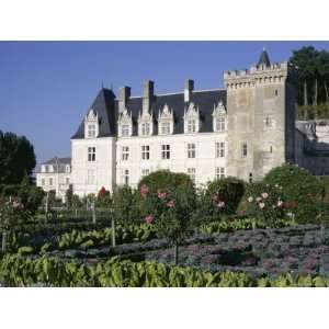 Chateau and Gardens Including Vegetables in Potager, Chateau De 