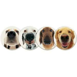  CounterArt In Your Face Dogs II Absorbent Coasters, Set of 